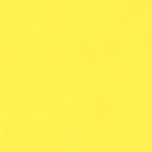 Meet your Posher, Lizzy